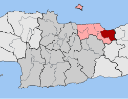 DE Malion